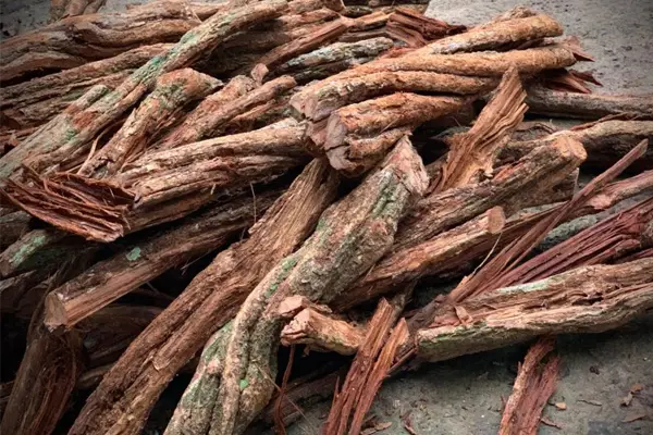 ayahuasca310