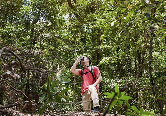 Tour en la selva amazónica de Iquitos — sendero rodeado de vegetación tropical densa con guía local explicando la flora