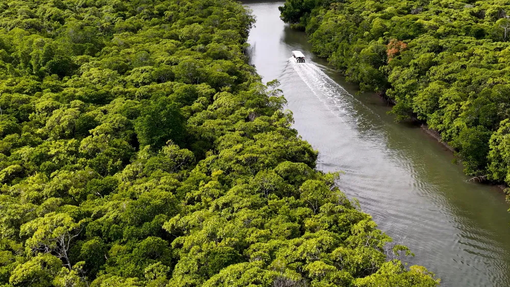 la amazonia peruana
