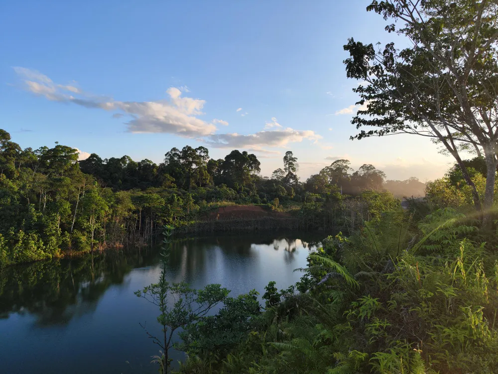 la selva peruana