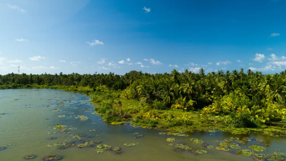 lugares de la selva