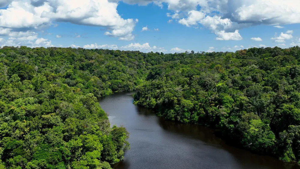 lugares turísticos de la selva