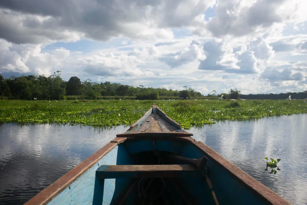 selva tours