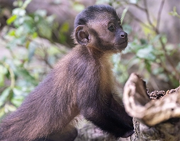 operador-turistico-en-Iquitos.webp